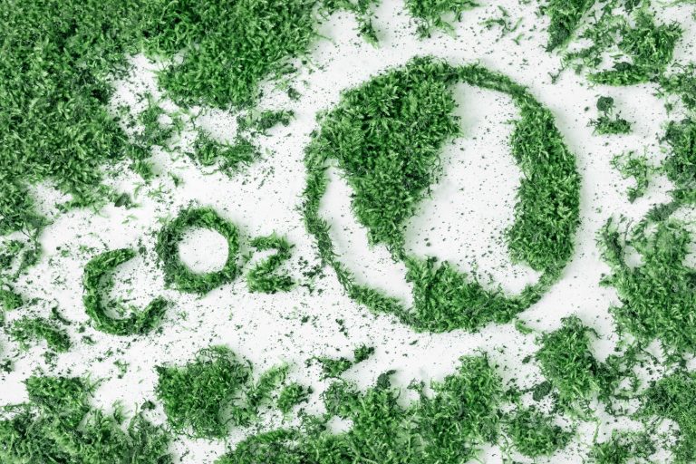 we are part of the change reducing co2